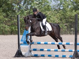 2016 SydhavsCup spring finale 22. maj